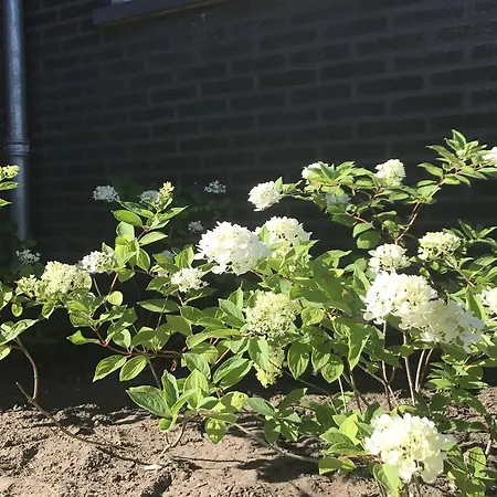 Ons Durske Heesch